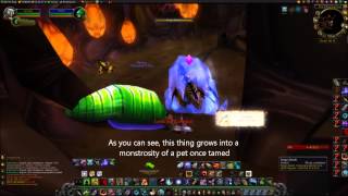 How to Tame a Gorishi Grub Huge Green Larva Pet [upl. by Beatrice885]