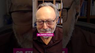 POLYVAGAL THEORY amp Creating Safety Dr Stephen Porges Explains [upl. by Retla353]