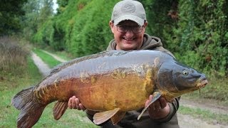 Gigantica Facebook QampA with Danny Fairbrass [upl. by Ynahpets847]