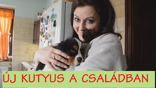 Új kutyus a családban  Szezonnyitó grillezés VLOG [upl. by Rosenberger200]