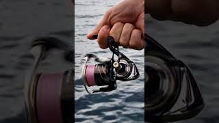 Теперь это правильный Daiwa 20 Luvias LT🔥 [upl. by Attej]