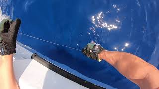 Big Yellowfin Tuna Fishing in Hawaii [upl. by Belvia945]