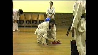 Kyokushin Training at Epping Dojo NSW [upl. by Sadoc781]