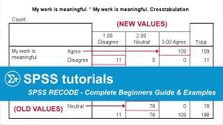 SPSS RECODE  The Ultimate Beginners Guide amp Examples [upl. by Halle]