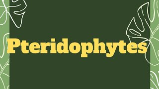 Pteridophytes।pteridophyta neet biology [upl. by Yrro]