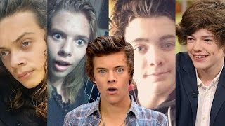 Top 7 Craziest Harry Styles LookAlikes  Hollywire [upl. by Atiker]