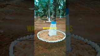 Farm land sale in Coimbatore farmland lowbudget tredingshorts investmentproperty kovai [upl. by Suoivatram]