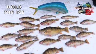 2024 SEASON  Episode 2 Lake Mille Lacs Minnesota Ice Fishing [upl. by Ogawa961]