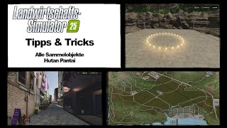 LS25 Tipps amp Tricks  Alle Sammelobjekte Hutan Pantai  LS25FS25 [upl. by Ytsenoh]