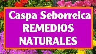 Síntomas de la Dermatitis Seborréica Causas Tratamientos y Remedios [upl. by Naejeillib]