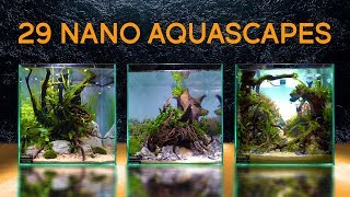 TwentyNine Of the Best Nano Aquascapes In America [upl. by Steen]