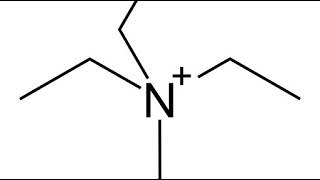 Voltage Clamp Explained Tetrodotoxin And Tetraethylammonium  Clip [upl. by Pacifica]