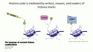 Deciphering Cancer The Intersection of Epigenetics Metabolism and Tumorigenesis [upl. by Denney672]