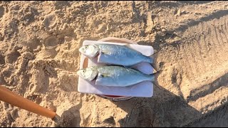 Nice size Tailor smashing baits at Dalyellup beach [upl. by Inittirb]