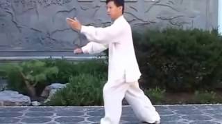 Tai Chi Quan Yang Style Traditional 108 form [upl. by Nilok705]