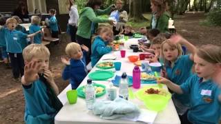 Tring Beavers Summer Camp June 2015 [upl. by Edyaj]