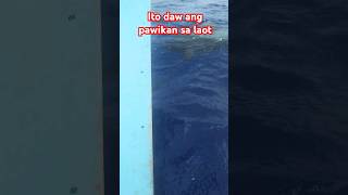 pawikan sa laot fishingadventure ytviral trendingshort ytshorts viralvideo [upl. by Holland390]