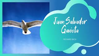 Audio Libro Completo quotJuan Salvador Gaviotaquot de Richard Bach [upl. by Lemmuela]