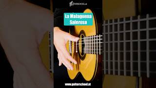 La Malaguena Salerosa  AMAZING Guitar TAB tutorial 🎸 [upl. by Assenov355]