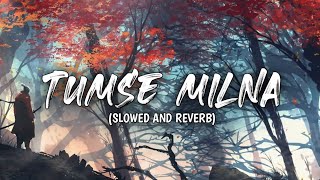 Tumse Milna Slowed and Reverb SAR Musics [upl. by Silohcin129]