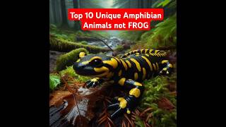 10 MOST UNIQUE AMPHIBIANS That Arent Frogs viralvideo shorts [upl. by Frazier539]