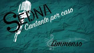 Limmenso  Amedeo Minghi Cover by Sedna [upl. by Swenson]