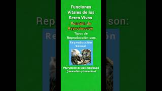 Funciones Vitales de los Seres Vivos seresvivos [upl. by Aizti659]