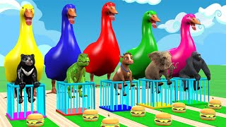 Cow Elephant Tiger Gorilla Hippo 3d Animal Long Slide Game Funny 3d Paint Animals Cage Game [upl. by Iarised568]