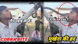 COBRA BITE। मूर्खता की हद।🤬😡। ACTION AND REACTION। VENOMOUS SNAKE। [upl. by Raviv925]