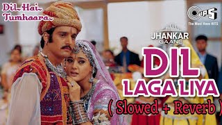 Dil Laga Liya  Best romentic song   Slowed  Reverb  new Hindi song song hindisong reels [upl. by Thorbert565]