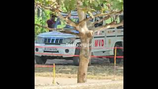 Trip to Pathanamthitta driving Test center [upl. by Noyr]