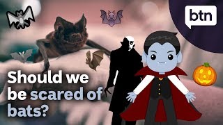 Should We Be Scared of Bats  Behind the News [upl. by Peg796]