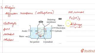 PURIFICATION OF COLLOIDAL SOLUTION [upl. by Baxter]