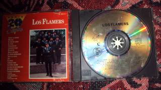 EL PUM DEL AMOR LOS FLAMERS [upl. by Igig]