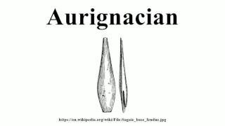 Aurignacian [upl. by Mcnelly575]