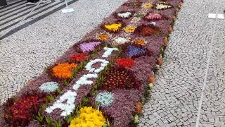 Festa da Flor 2018  tapetes de flores 5º [upl. by Novla]