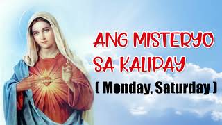 Misteryo Sa Kalipay  Ang Santos Nga Rosaryo  Monday Saturday  Holy Child Parish Bato Leyte [upl. by Thalassa]