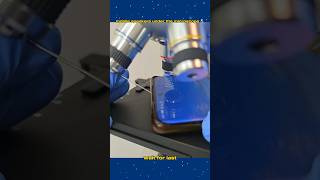 Mobile speaker microscope ൽ zoom ചെയ്ത് നോക്കിയപ്പോൾ🤯 [upl. by Ataynik]