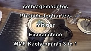 PfirsichJoghurtEis selbst herstellen mit der Eismaschine von WMF Küchenminis 3 in 1 [upl. by Winfred]