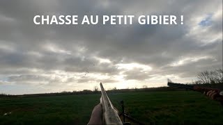 CHASSE au PETIT GIBIER  20232024 [upl. by Northway]