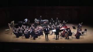 Demersemann 6° solo da concerto Francesco Loi flute  Patrick Gallois Conductor [upl. by Nyrehtac]