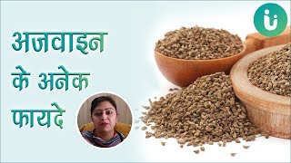 अजवाइन के अनेक फायदे  Ajwain ke faide [upl. by Atsilac]