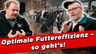 Optimale Futtereffizienz – so geht’s  My KuhTube Film 918 [upl. by Aryajay740]