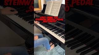 Liszt composing for the sostenuto pedal of Steinway Consolation no3 liszt [upl. by Yrellam]