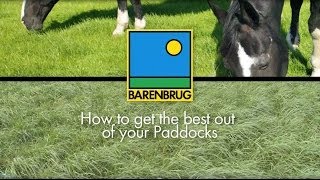 How to Maintain and Renovate Horse Grass Paddocks Advice on Equine Paddocks [upl. by Valoniah]