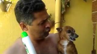 Perro que no quiere bañarse [upl. by Socrates]