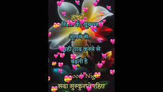 Good Night Status  WhatsApp Good Night Status Videos [upl. by Sellihca]