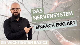 Das Nervensystem einfach erklärt [upl. by Ekihc]