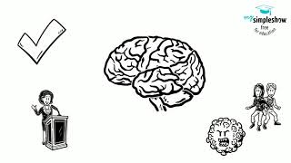 Structuralism vs Functionalism [upl. by Dric527]