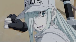 Cells at Work CODE BLACK Episode  12 Preview ENG SUB [upl. by Ecnarolf]